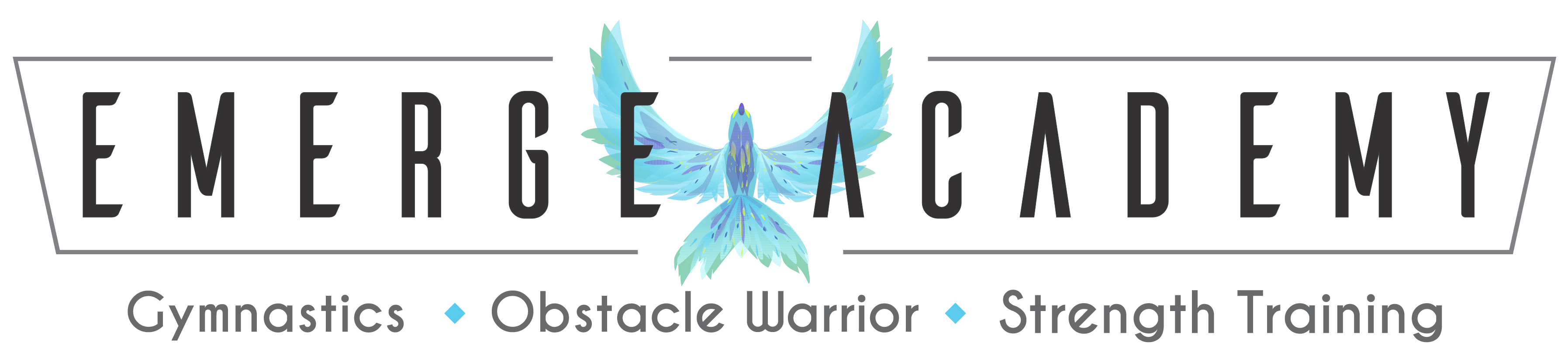 Emerge Academy logo with bird